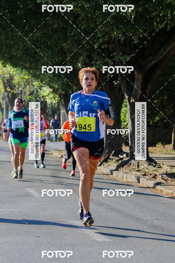 Buy your photos of the event7� Corrida APAE  - Po�os de Caldas - MG on Fotop