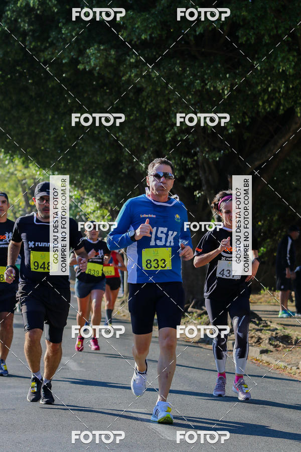 Buy your photos of the event7� Corrida APAE  - Po�os de Caldas - MG on Fotop