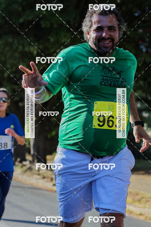Buy your photos of the event7� Corrida APAE  - Po�os de Caldas - MG on Fotop