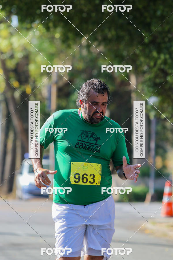 Buy your photos of the event7� Corrida APAE  - Po�os de Caldas - MG on Fotop