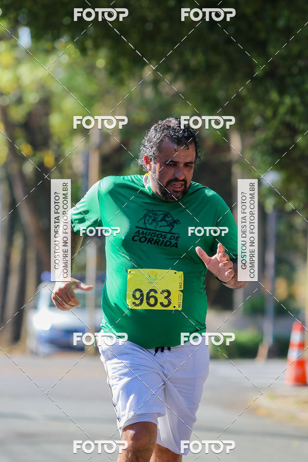 Buy your photos of the event7� Corrida APAE  - Po�os de Caldas - MG on Fotop
