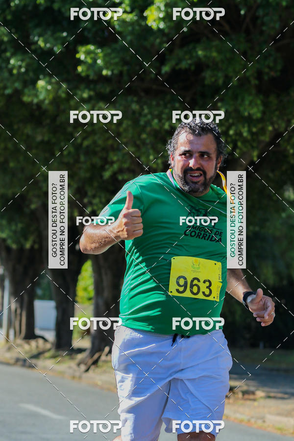 Buy your photos of the event7� Corrida APAE  - Po�os de Caldas - MG on Fotop
