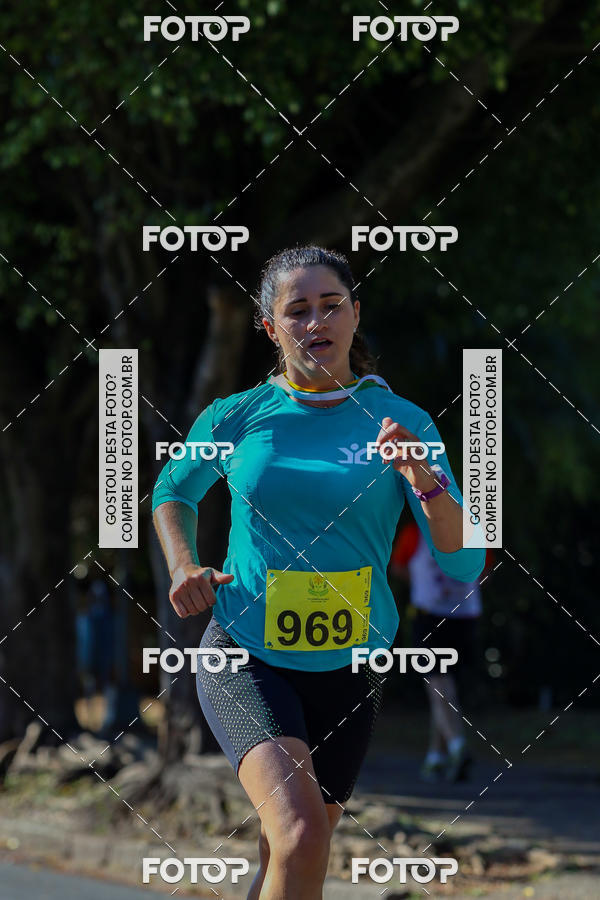 Buy your photos of the event7� Corrida APAE  - Po�os de Caldas - MG on Fotop