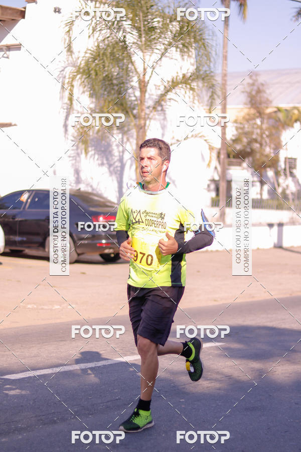 Buy your photos of the event7� Corrida APAE  - Po�os de Caldas - MG on Fotop