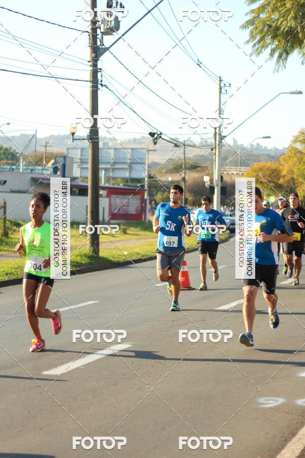 Buy your photos of the event7� Corrida APAE  - Po�os de Caldas - MG on Fotop