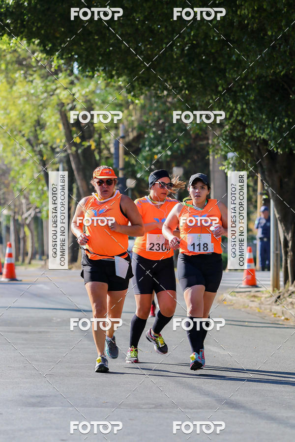 Buy your photos of the event7� Corrida APAE  - Po�os de Caldas - MG on Fotop
