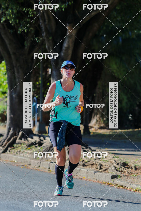 Buy your photos of the event7� Corrida APAE  - Po�os de Caldas - MG on Fotop