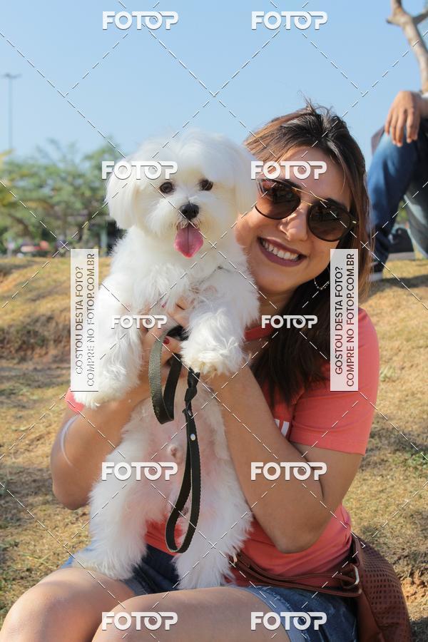 Buy your photos of the eventCosturando Memrias - Semana Mundial do Brincar on Fotop