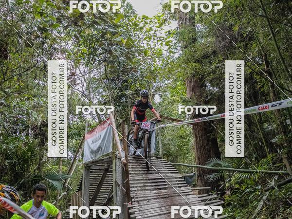 Buy your photos of the eventCampeonato Brasileiro de MTB XCO on Fotop