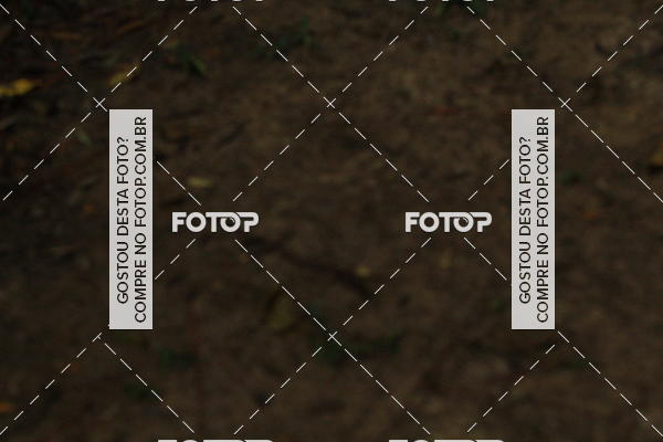 Buy your photos of the eventCampeonato Brasileiro de MTB XCO on Fotop