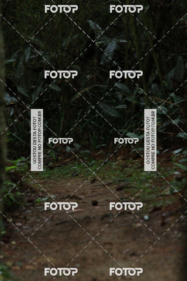 Buy your photos of the eventCampeonato Brasileiro de MTB XCO on Fotop