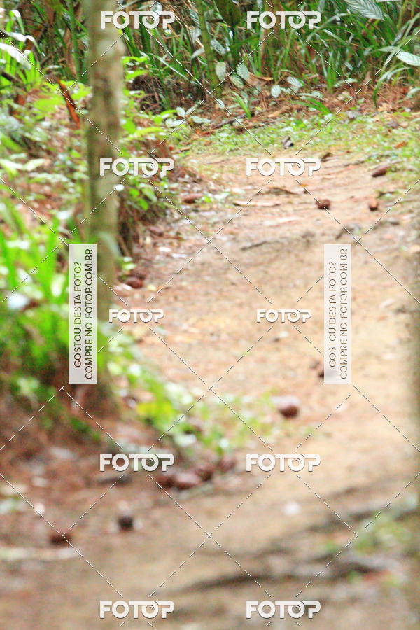 Buy your photos of the eventCampeonato Brasileiro de MTB XCO on Fotop