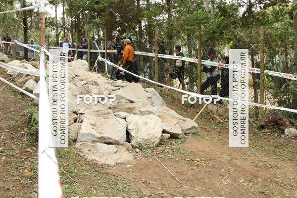 Buy your photos of the eventCampeonato Brasileiro de MTB XCO on Fotop