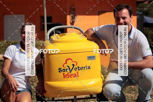 Buy your photos of the event1� ArraiAU Pet Guia 4Patas Online on Fotop