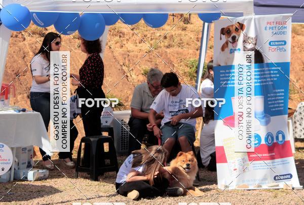 Buy your photos of the event1� ArraiAU Pet Guia 4Patas Online on Fotop