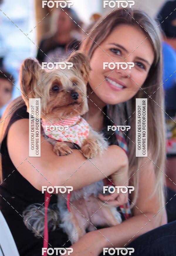 Buy your photos of the event1� ArraiAU Pet Guia 4Patas Online on Fotop