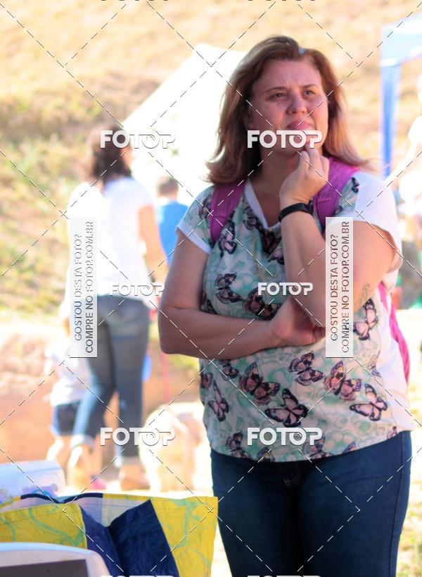 Buy your photos of the event1� ArraiAU Pet Guia 4Patas Online on Fotop