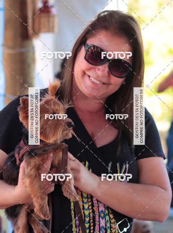 Buy your photos of the event1� ArraiAU Pet Guia 4Patas Online on Fotop