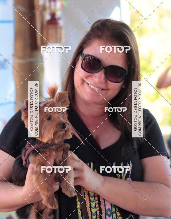 Buy your photos of the event1� ArraiAU Pet Guia 4Patas Online on Fotop
