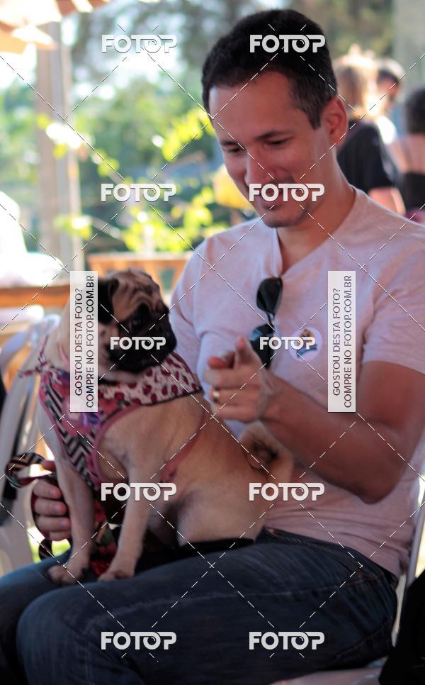 Buy your photos of the event1� ArraiAU Pet Guia 4Patas Online on Fotop