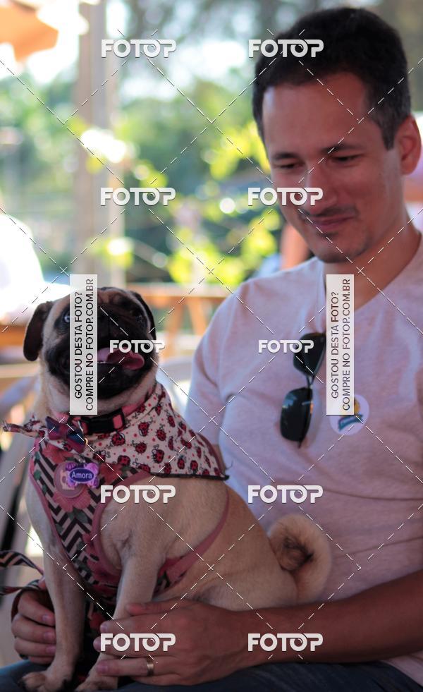 Buy your photos of the event1� ArraiAU Pet Guia 4Patas Online on Fotop