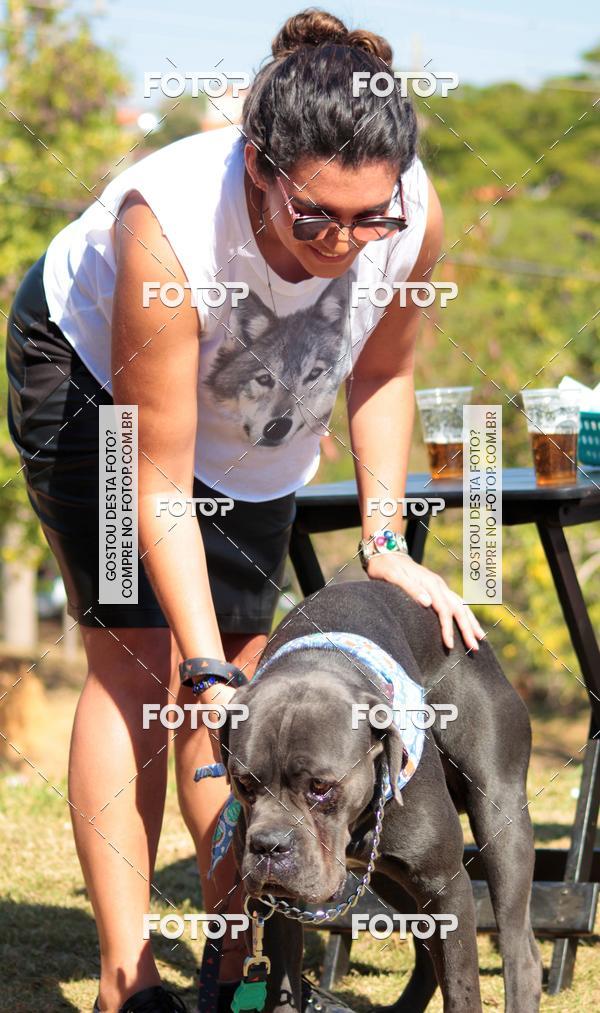Buy your photos of the event1� ArraiAU Pet Guia 4Patas Online on Fotop