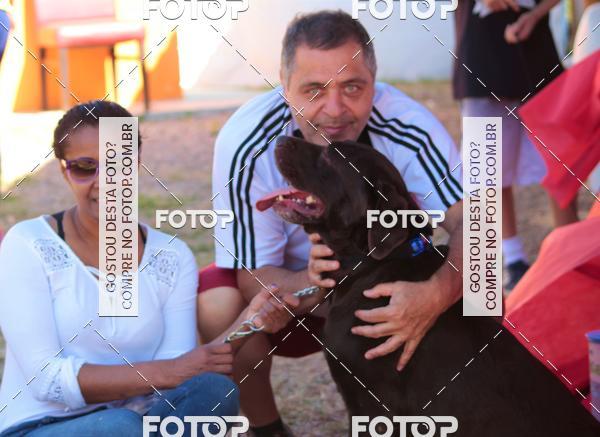 Buy your photos of the event1� ArraiAU Pet Guia 4Patas Online on Fotop