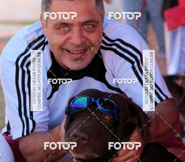 Buy your photos of the event1� ArraiAU Pet Guia 4Patas Online on Fotop