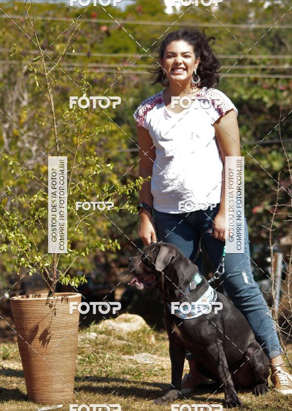 Buy your photos of the event1� ArraiAU Pet Guia 4Patas Online on Fotop