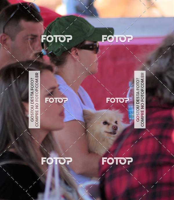 Buy your photos of the event1� ArraiAU Pet Guia 4Patas Online on Fotop
