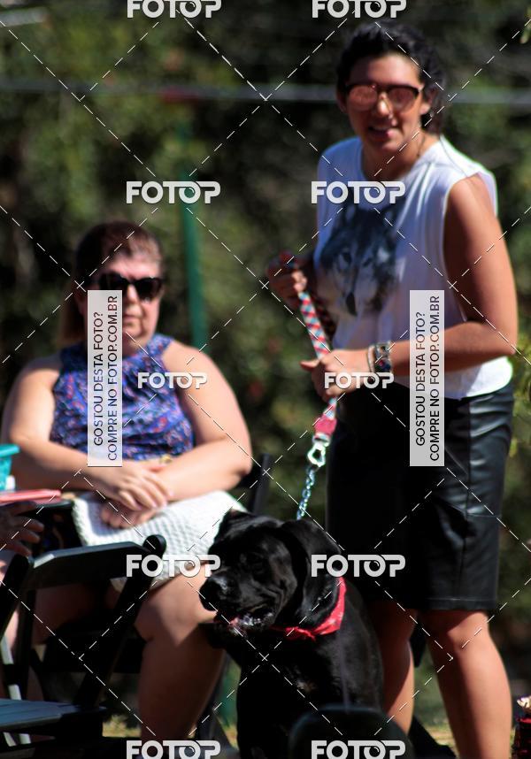 Buy your photos of the event1� ArraiAU Pet Guia 4Patas Online on Fotop