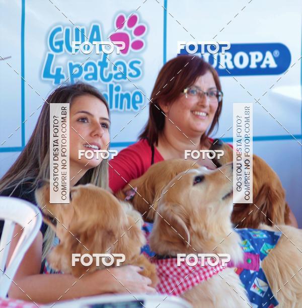 Buy your photos of the event1� ArraiAU Pet Guia 4Patas Online on Fotop