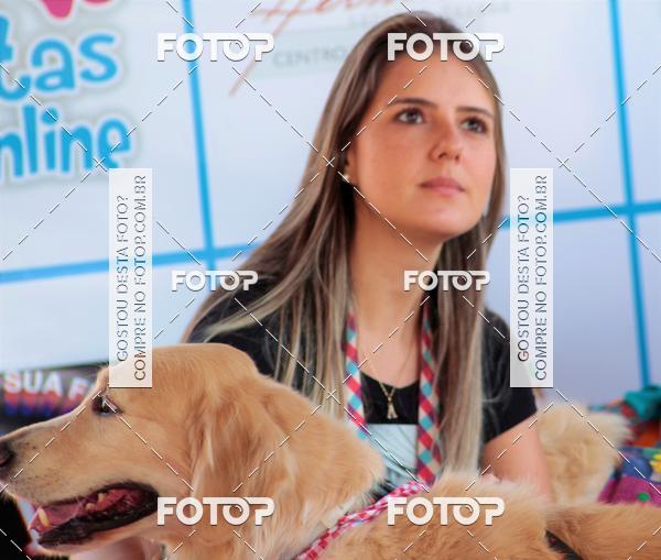 Buy your photos of the event1� ArraiAU Pet Guia 4Patas Online on Fotop