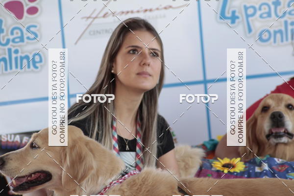 Buy your photos of the event1� ArraiAU Pet Guia 4Patas Online on Fotop