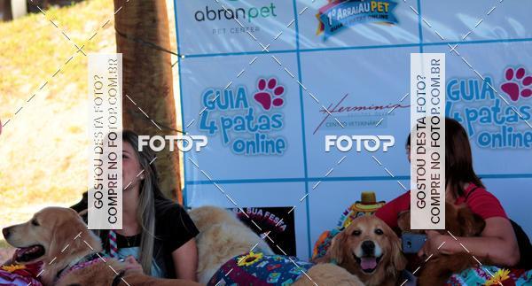 Buy your photos of the event1� ArraiAU Pet Guia 4Patas Online on Fotop