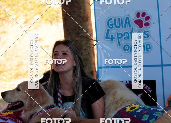 Buy your photos of the event1� ArraiAU Pet Guia 4Patas Online on Fotop