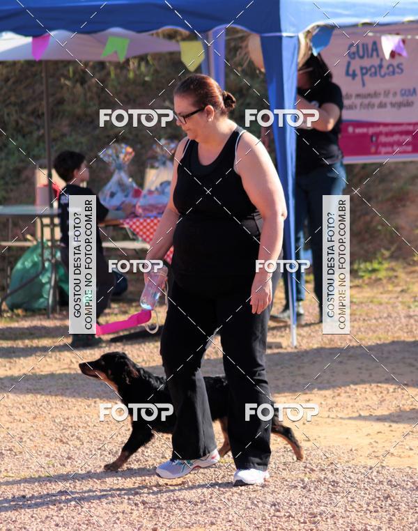 Buy your photos of the event1� ArraiAU Pet Guia 4Patas Online on Fotop