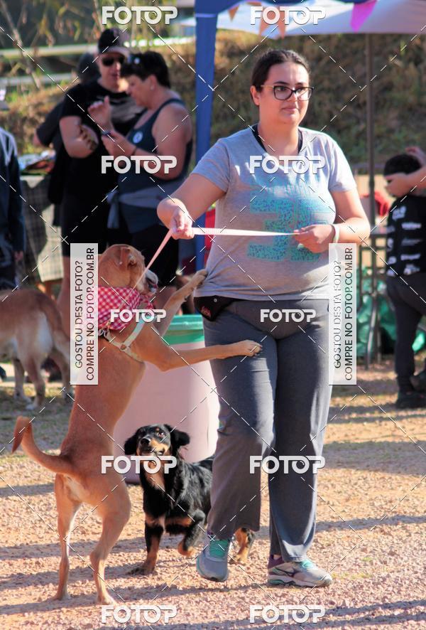Buy your photos of the event1� ArraiAU Pet Guia 4Patas Online on Fotop