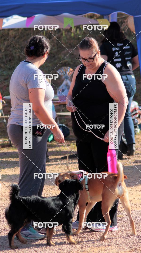 Buy your photos of the event1� ArraiAU Pet Guia 4Patas Online on Fotop