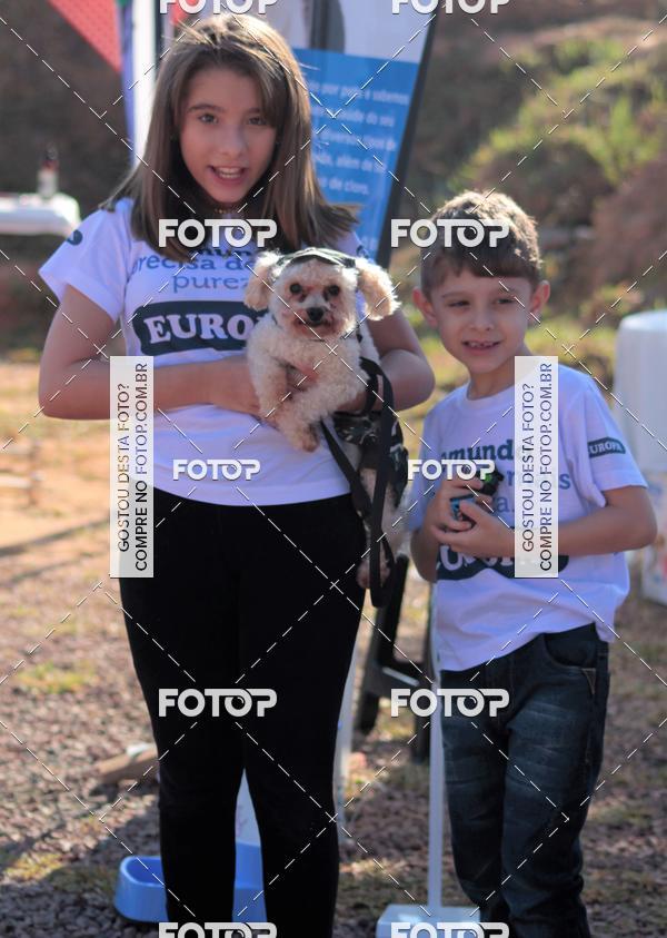 Buy your photos of the event1� ArraiAU Pet Guia 4Patas Online on Fotop