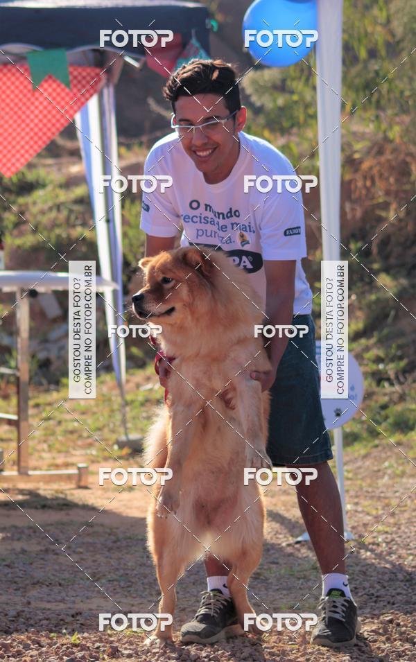 Buy your photos of the event1� ArraiAU Pet Guia 4Patas Online on Fotop