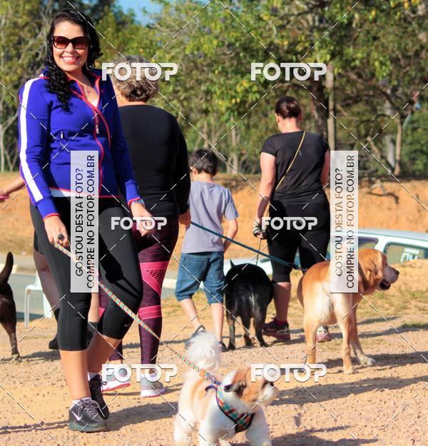 Buy your photos of the event1� ArraiAU Pet Guia 4Patas Online on Fotop