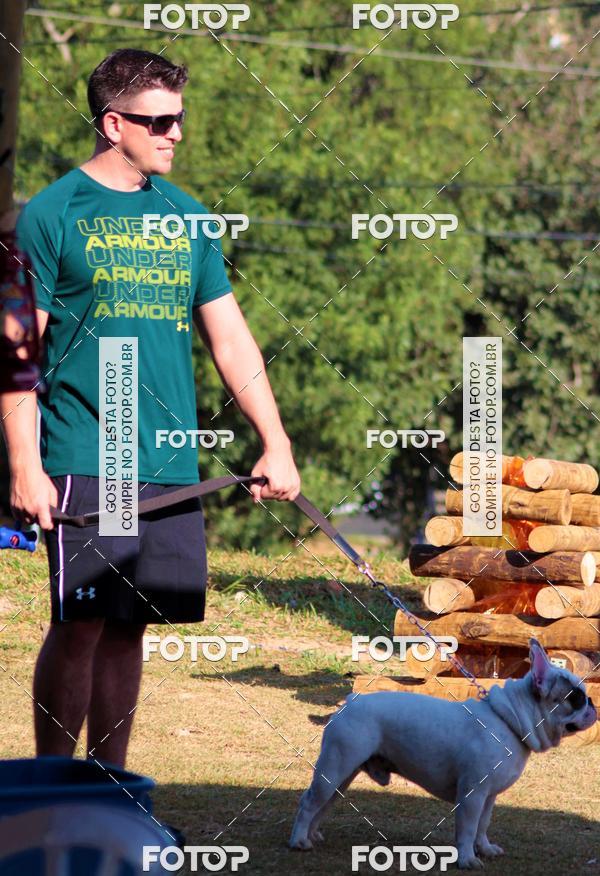 Buy your photos of the event1� ArraiAU Pet Guia 4Patas Online on Fotop