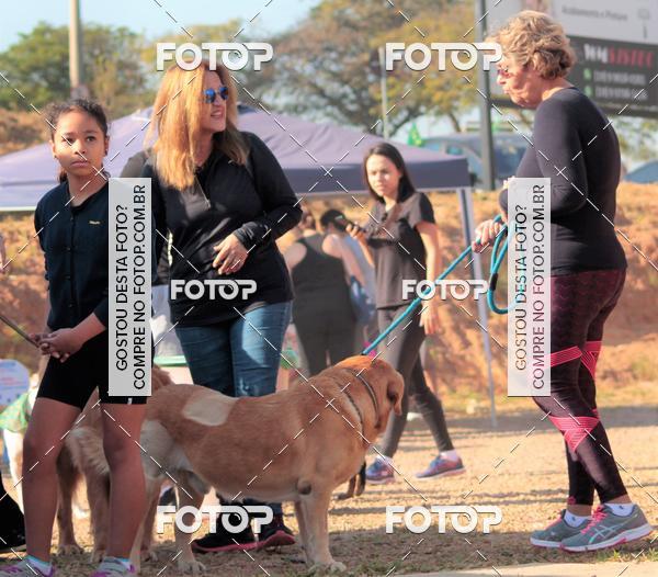 Buy your photos of the event1� ArraiAU Pet Guia 4Patas Online on Fotop
