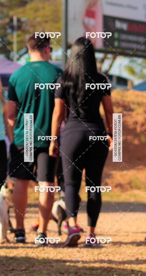 Buy your photos of the event1� ArraiAU Pet Guia 4Patas Online on Fotop