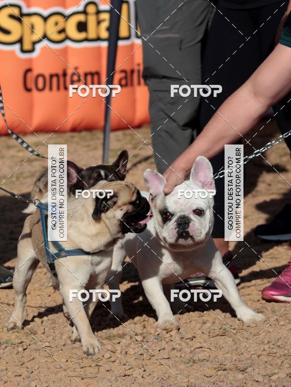 Compra tus fotos del evento1� ArraiAU Pet Guia 4Patas Online En Fotop