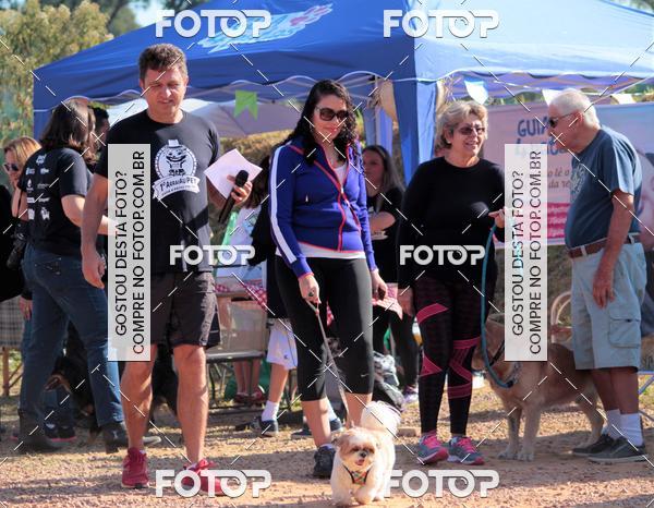 Buy your photos of the event1� ArraiAU Pet Guia 4Patas Online on Fotop