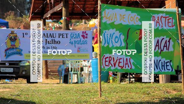 Buy your photos of the event1� ArraiAU Pet Guia 4Patas Online on Fotop