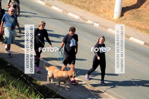 Buy your photos of the event1� ArraiAU Pet Guia 4Patas Online on Fotop