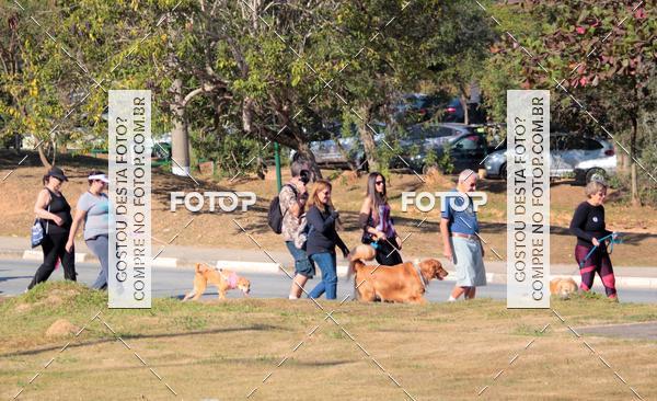 Buy your photos of the event1� ArraiAU Pet Guia 4Patas Online on Fotop
